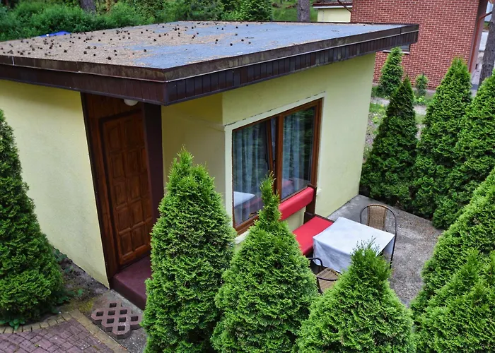 Campingowy Zolty مكان تخييم